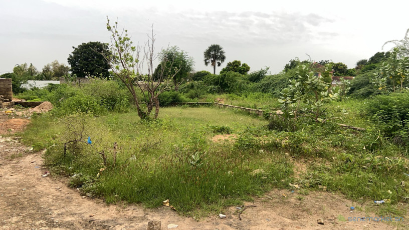 terrain-de-1200-metres-carres-a-vendre-a-saly-sen-big-3