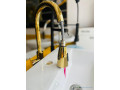 robinet-extractible-pm-dore-small-0