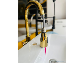 Robinet extractible PM doré