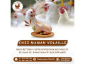 infographiste-small-1