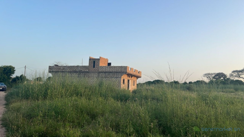 terrain-de-600-metres-carres-a-vendre-a-malicounda-senegal-big-0