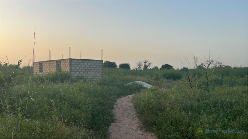 terrain-de-600-metres-carres-a-vendre-a-malicounda-senegal-big-2