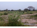 terrain-de-4-hectares-vers-koul-small-2