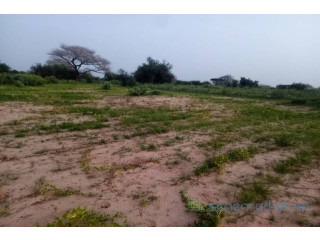 Terrain de 4 hectares vers Koul