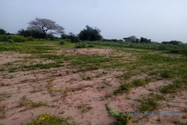 terrain-de-4-hectares-vers-koul-big-0