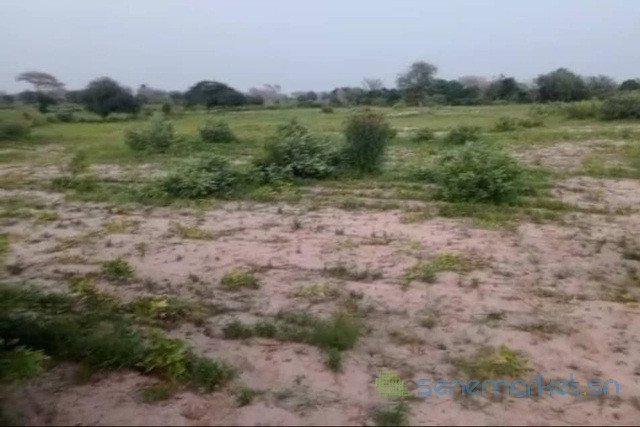 terrain-de-4-hectares-vers-koul-big-1