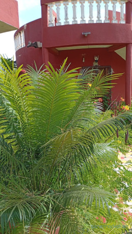 terrain-de-2000-metres-carres-a-vendre-a-warang-senegal-big-1