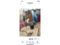 maison-ardoise-a-vendre-small-1