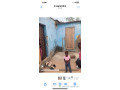 maison-ardoise-a-vendre-small-0