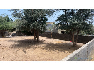 Terrain de 400 mètres carrés à vendre à Saly Diacksao