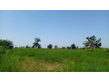 terrain-de-1-hectare-a-vendre-a-louly-ngomene-small-2