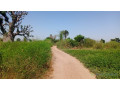 terrain-de-1-hectare-a-vendre-a-louly-ngomene-small-0