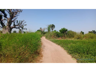 Terrain de 1 hectare à vendre à Louly Ngomène