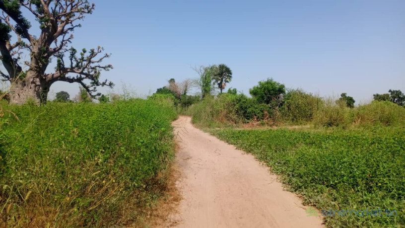 terrain-de-1-hectare-a-vendre-a-louly-ngomene-big-0