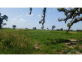 terrain-2-hectares-et-demi-a-vendre-a-louly-senegal-small-1