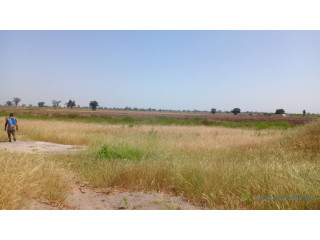 Terrain 2 hectares et demi à vendre à Louly Sénégal