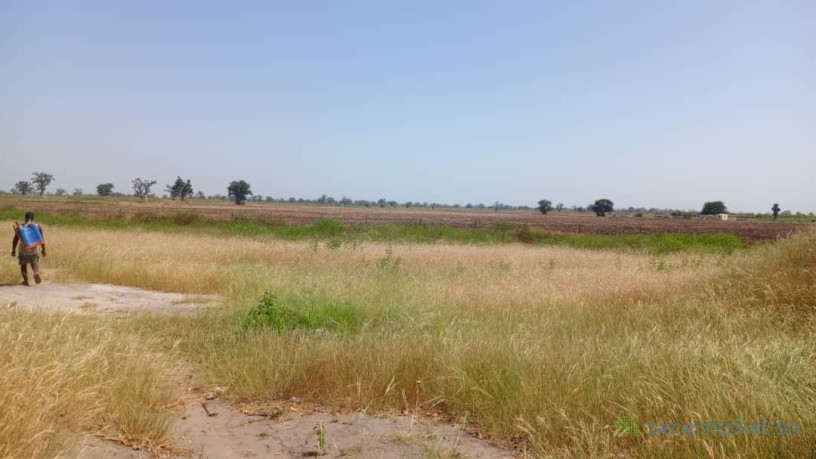 terrain-2-hectares-et-demi-a-vendre-a-louly-senegal-big-0