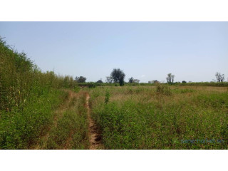 Terrain 1 hectare à vendre à Mbourokh Sénégal