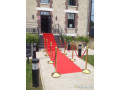 location-de-tapis-rouge-small-1
