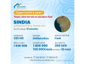 terrains-de-225-metres-carres-a-vendre-a-sindia-sn-small-0