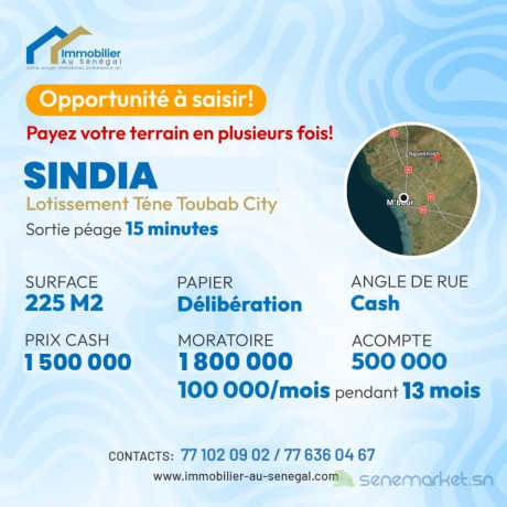 terrains-de-225-metres-carres-a-vendre-a-sindia-sn-big-0