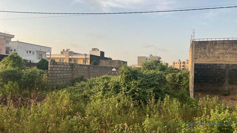 terrain-de-500-m2-a-vendre-a-saly-diambar-sn-big-1