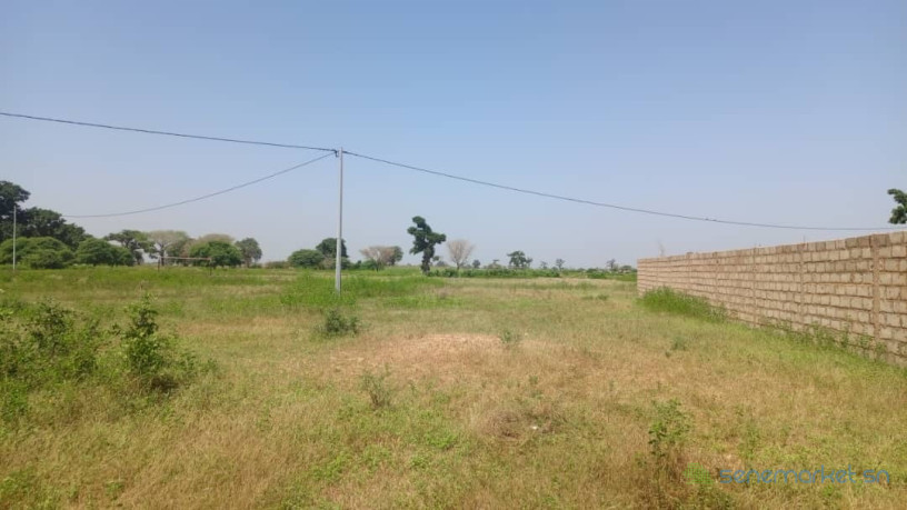 terrain-de-3-hectares-et-demi-a-vendre-a-mbourokh-sn-big-0