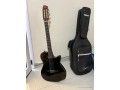 vente-de-guitare-godin-avec-sa-housse-small-0