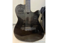 vente-de-guitare-godin-avec-sa-housse-small-1