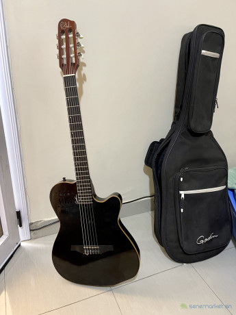vente-de-guitare-godin-avec-sa-housse-big-0