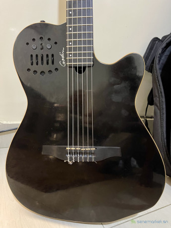 vente-de-guitare-godin-avec-sa-housse-big-1