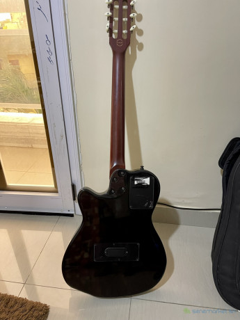 vente-de-guitare-godin-avec-sa-housse-big-2