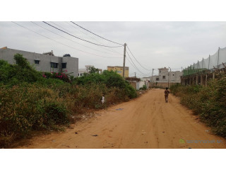 Terrain de 300 mètres carrés à vendre à Saly Diambar