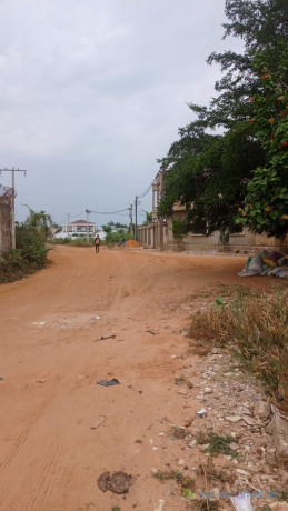 terrain-de-300-metres-carres-a-vendre-a-saly-diambar-big-2