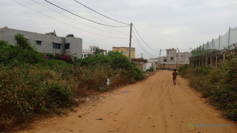 terrain-de-300-metres-carres-a-vendre-a-saly-diambar-big-0