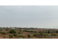 terrains-de-300-metres-carres-a-vendre-a-guereo-senegal-small-3