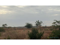 terrains-de-300-metres-carres-a-vendre-a-guereo-senegal-small-0