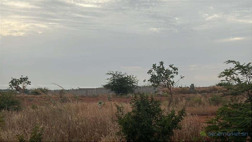 terrains-de-300-metres-carres-a-vendre-a-guereo-senegal-big-0