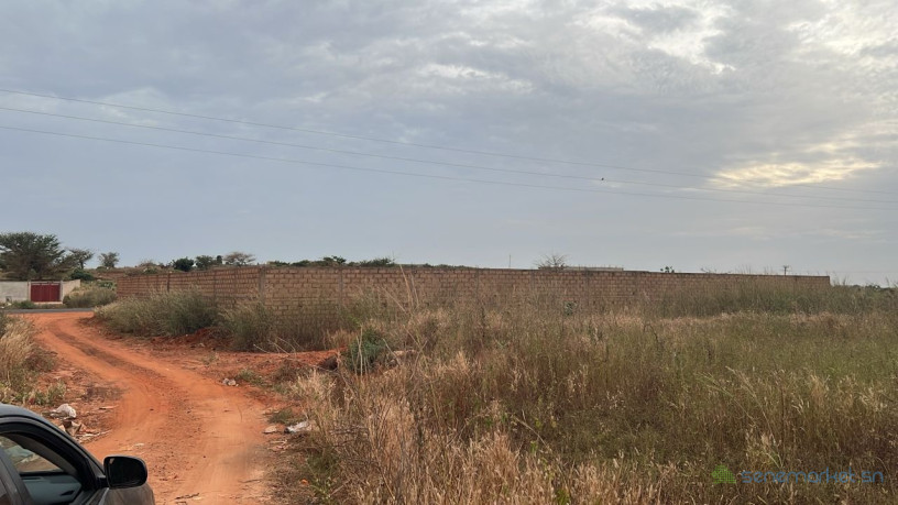 terrains-de-300-m2-a-vendre-guereo-senegal-big-3