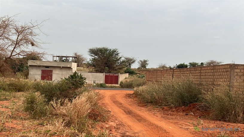 terrains-de-300-m2-a-vendre-guereo-senegal-big-0
