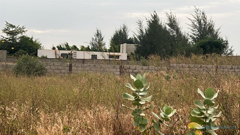 terrains-de-300-m2-a-vendre-guereo-senegal-big-2