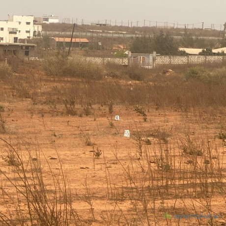 terrain-a-vendre-ndoukhoura-big-0