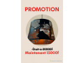 promo-luminaire-plafonnier-small-0