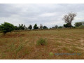 terrain-de-9-012-m2-vers-tassette-small-2