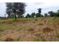 terrain-de-277-hectares-vers-tassette-small-1
