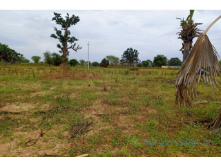 Terrain de 2,77 hectares vers Tassette