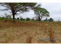 terrain-de-250-hectares-vers-tassette-small-2