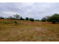 terrain-de-250-hectares-vers-tassette-small-1