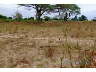 Terrain de 2,50 hectares vers Tassette