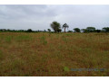 terrain-de-244-hectares-vers-tassette-small-2